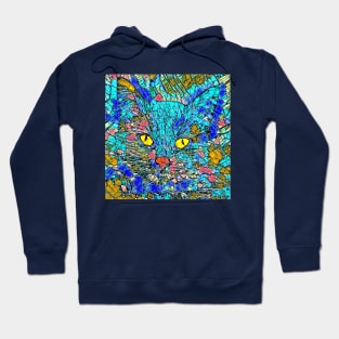 Colored Glass Cat Hoodie